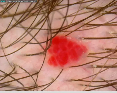 Gabinet dermatologiczny Anna Czerniecka-Ronowska